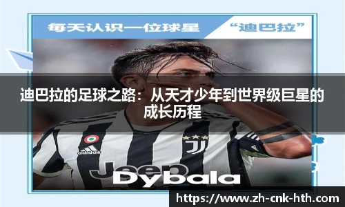 hth体育官方网站